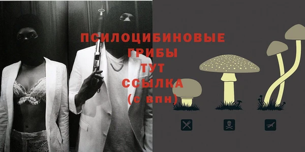 наркотики Белокуриха